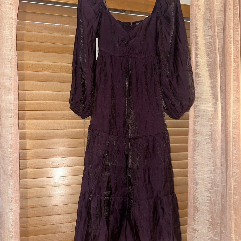 Shimmery Plum Maxi Dress (Never Worn)